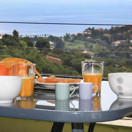 Cap Corse Uribellinu 2 Formule Petit Dejeuner Santa-Maria-di-Lota Екстер'єр фото