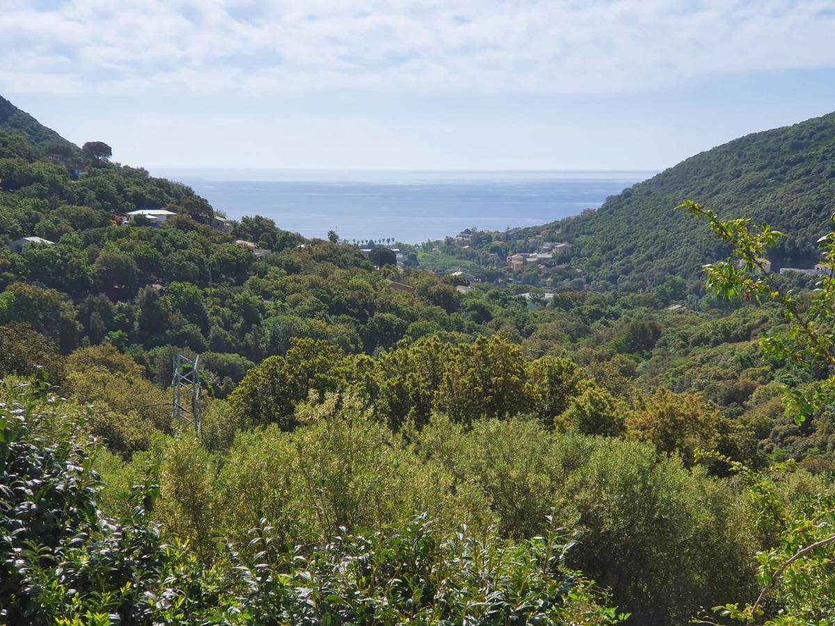 Cap Corse Uribellinu 2 Formule Petit Dejeuner Santa-Maria-di-Lota Екстер'єр фото